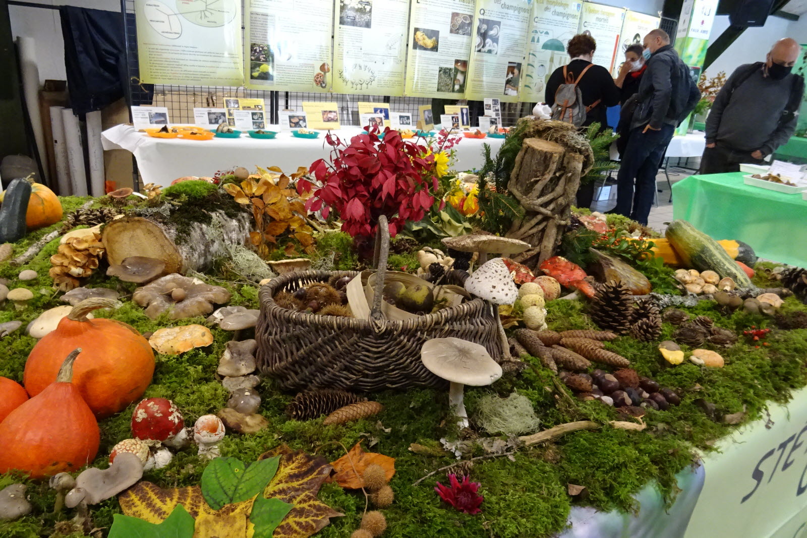 Exposition 2025 -Seyssinet-Pariset – ! Annulée !