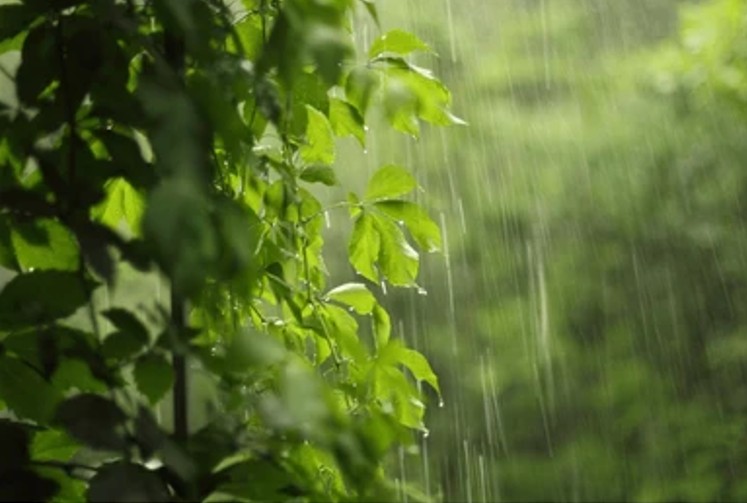 Sortie du Mercredi 22 octobre 2025 ANNULEE